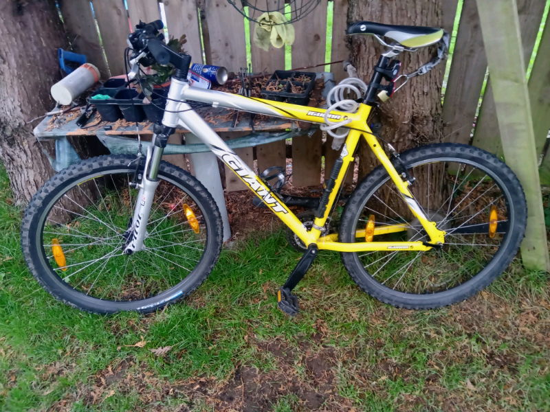 giant iguana bike value